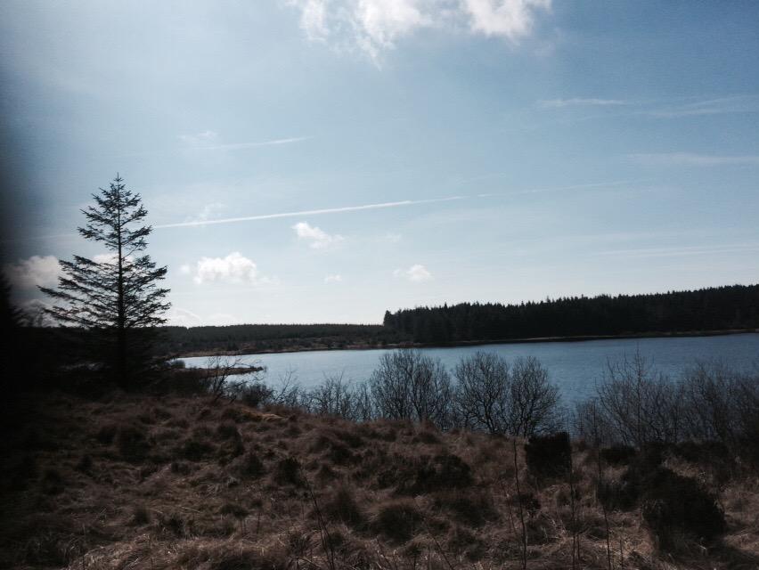 lfclee2011's tweet photo. This was where I was earlier today #killylane reservoir 😃😃😃 http://t.co/MtNjPFPwQk