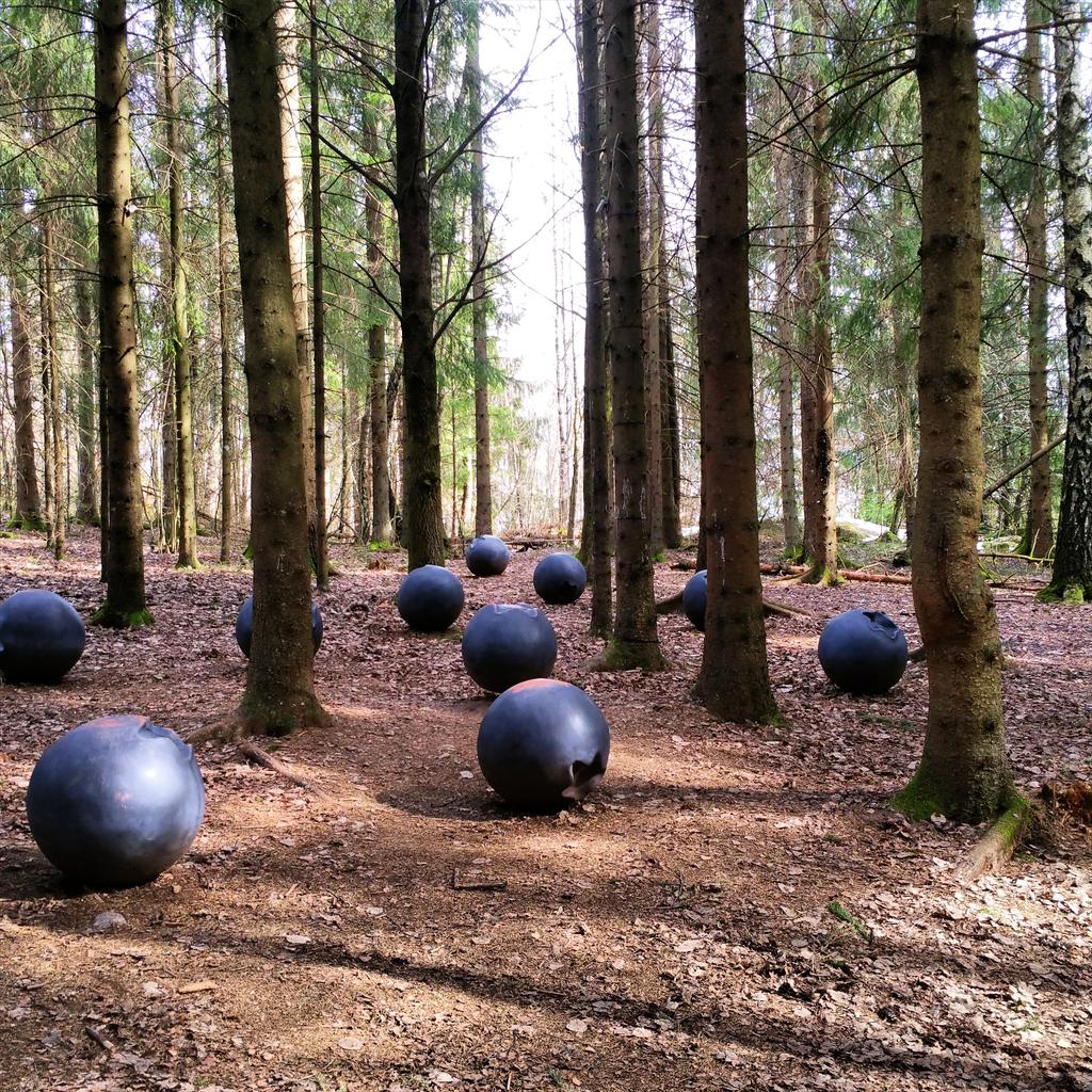 frkstroemseng's tweet photo. På bærtur! #bærreblåbærra #stiforøyet #Vestfold #utiskogen http://t.co/CbNSUwWawi
