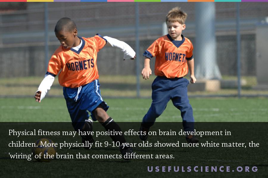 usefulsci's tweet image. #Keepfithavefun Fit children have 'greater brain capacity' in areas important for memory and #learning