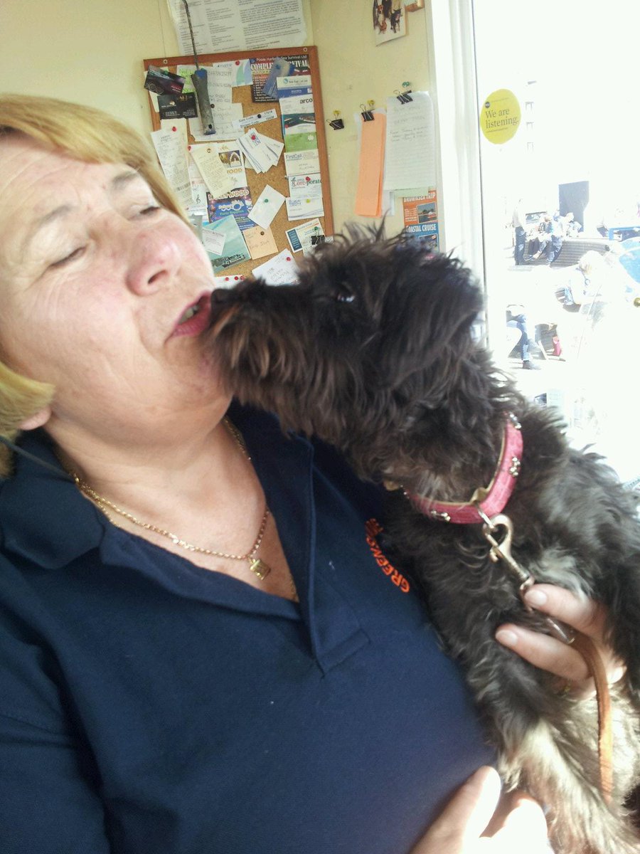 GreensladePBoat's tweet photo. Dog sitting for Jacks... while her owners visit Brownsea Island today @BrownseaIslandO http://t.co/wPxJuBGhBZ