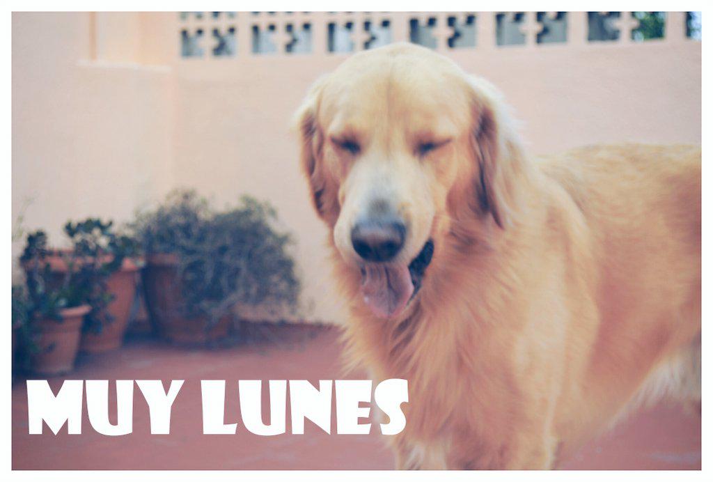 proyectomastres's tweet photo. Buenos días! Buen comienzo de semana!! http://t.co/qrVsc4BETM