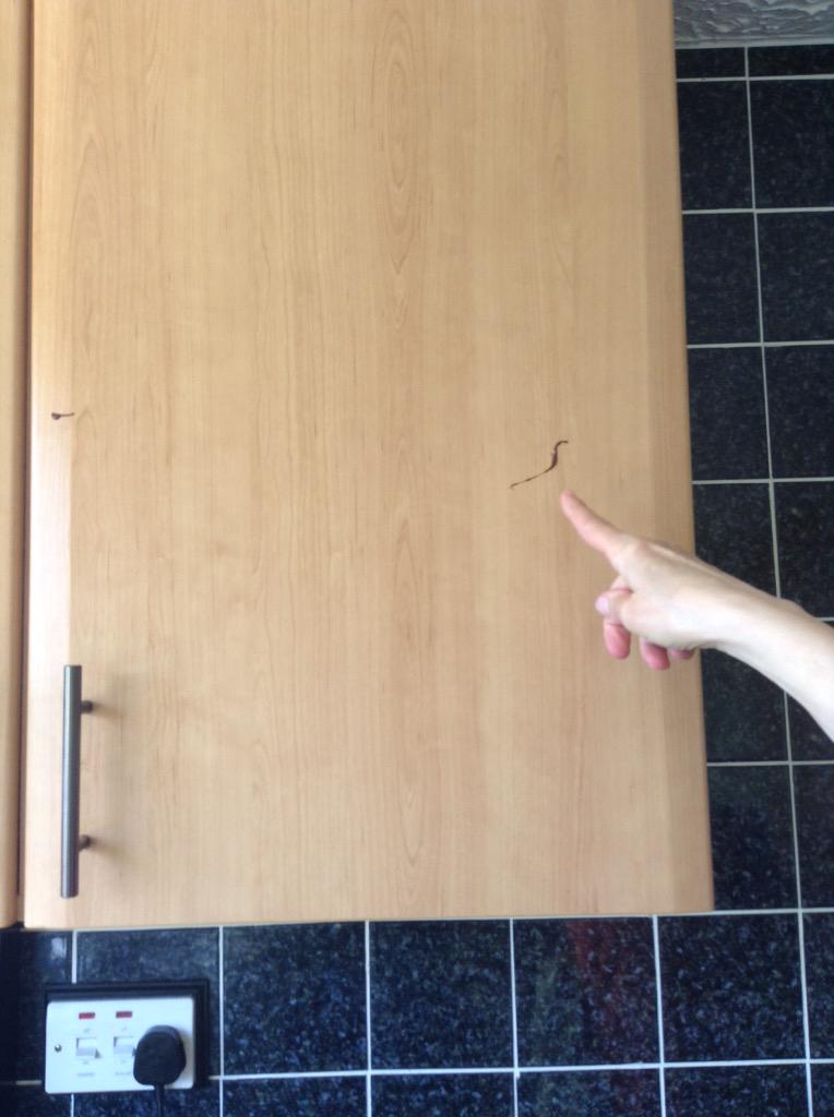 HackOrScrap's tweet photo. May have made a mess somehow??? #baking http://t.co/RbKOVjjUXQ