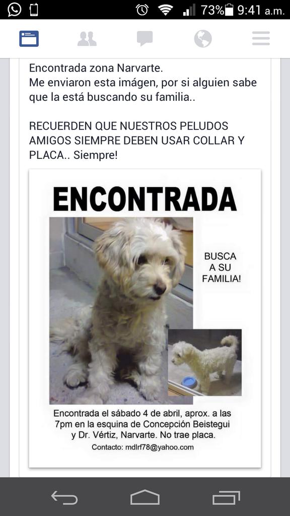 wonder woman tweet media