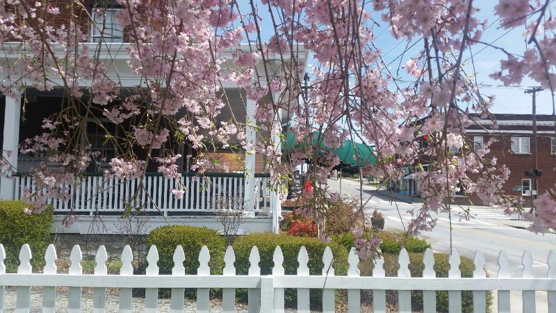 InnonChurch's tweet image. Picture perfect photo op for a #wedding! #Hendersonville #Mountains #veil #love #romance #engagement #photography