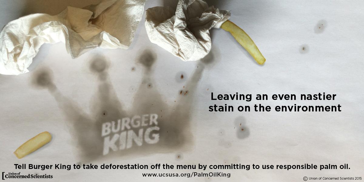 MiriamSwaffer's tweet photo. BK leaves a whopper of a mark on forests/climate. RT to tell @BurgerKing to take #deforestation off the menu http://t.co/vfwEql3nGW #PalmOil