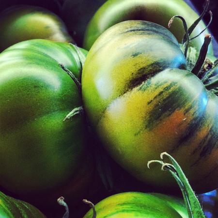 MercAndalucia's tweet photo. Durante este mes aún puedes comprar tomate RAF.
http://t.co/cXepQZBUpR http://t.co/VpPdFGdnnm
