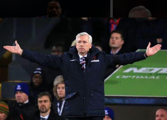 TNLdotcom's tweet photo. The Wolf of Selhurst Park http://t.co/ah6GcUmMz8