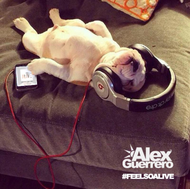 #FeelSoAlive sigue en el Top100 de #iTunes! ¿Tienes tu copia? Descárgala aquí: itun.es/es/hW4C6