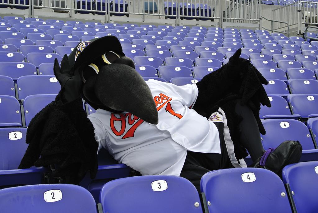 BirdlandDaily's tweet photo. All of #Birdland is ready for #OpeningDay! #FirstPitch15 #Orioles #Ravens #MLB #Baltimore #BirdlandDaily http://t.co/ALBWwon3Gm