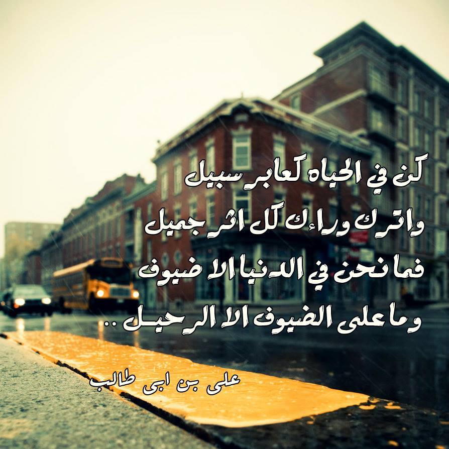 rgiaali789's tweet photo. السلام عليك يا ابا الحسن http://t.co/D2tBAwpWro