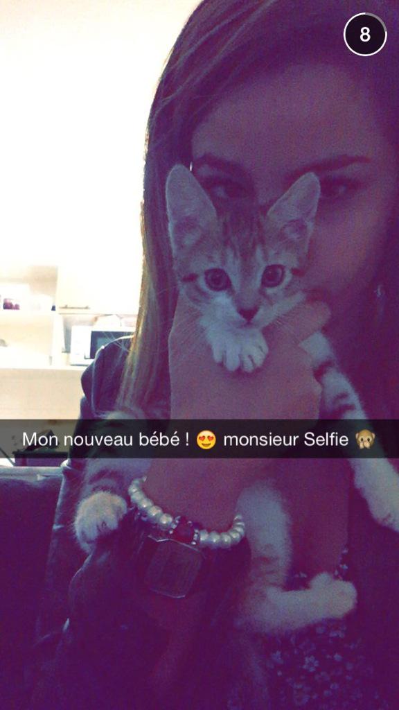 Permalien de l'image intégrée