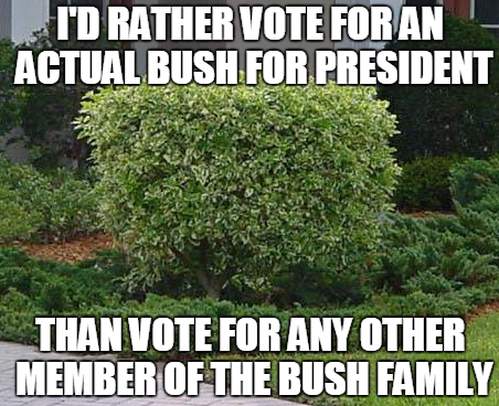 GetWisdomDude's tweet photo. Hispanic Jeb Bush self deports. Returns 2 US registered as a bush. http://t.co/flu5EPicg8 
@LeftAction http://t.co/4fFCTSgobj
@BruceBartlett