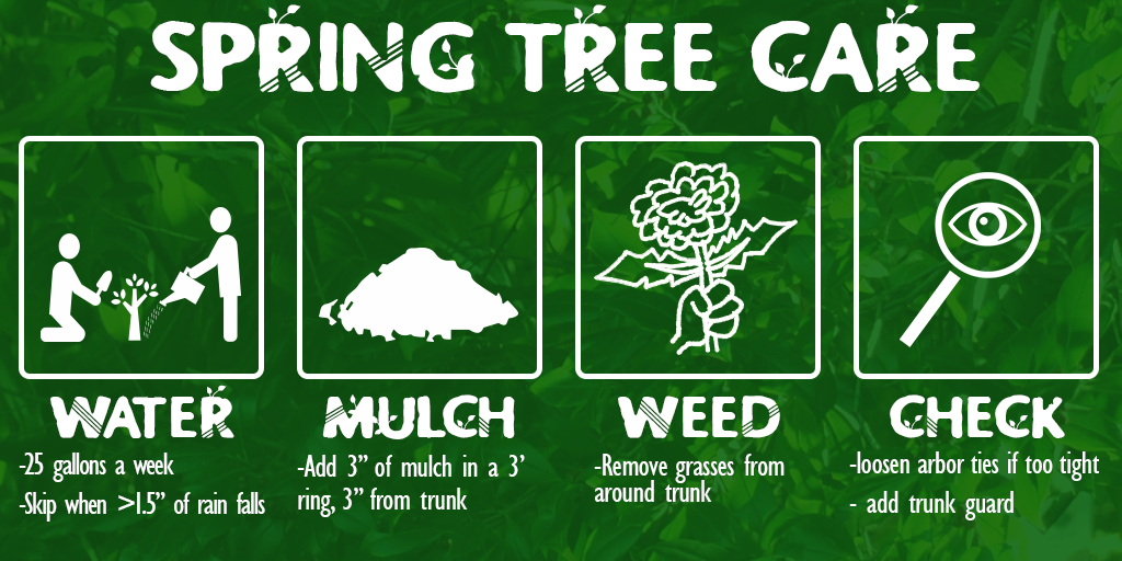 CaseyTrees's tweet image. @RosinaPhoto well we have plenty of #springtreecare tips