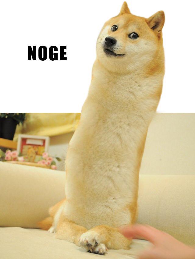 WowSuchDoge's tweet photo. when bae wows your neck http://t.co/L5kQ8VIb9M