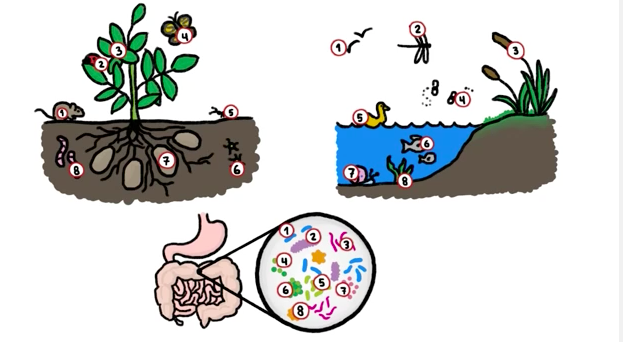 darmgezondheid's tweet photo. Ontlastingstransplantatie bij colitis ulcerosa #CCUVN

http://t.co/2cttaF1gpx http://t.co/aiTnhSLHCG