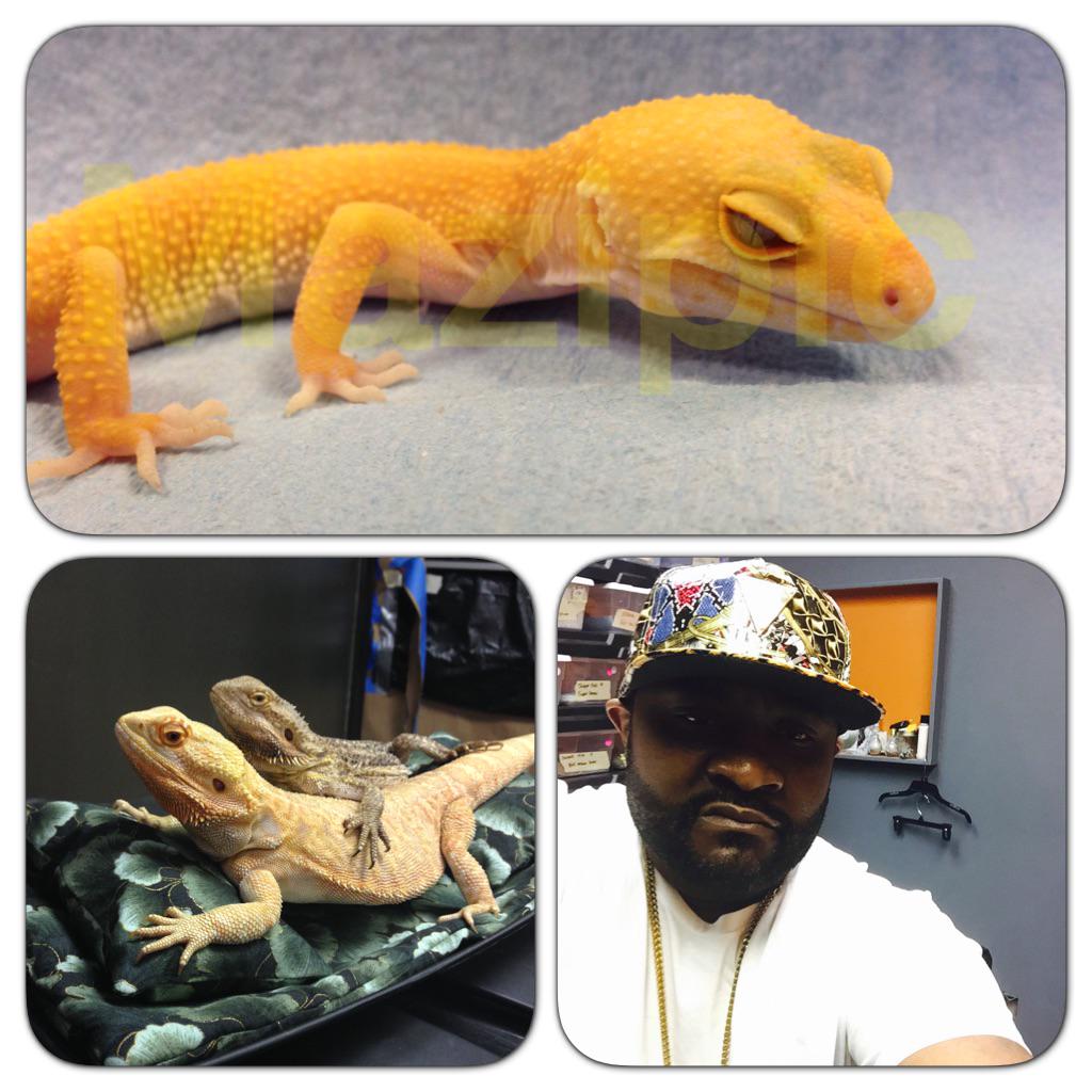 QuoteTheRealest's tweet image. In my reptile room @therockmob  bit.ly/LiPix-App