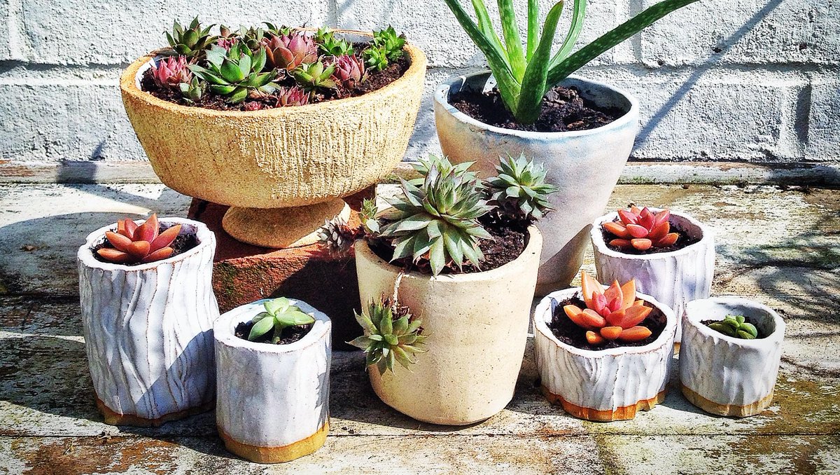 LisaOmm's tweet photo. Dreamday: #ceramics &amp; #gardening - potting up #succulents into pots I've made. Perfect restful, sunny #bankholiday http://t.co/xBL4iy7FVD