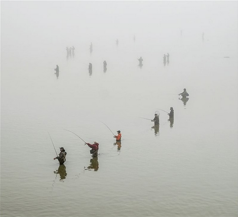 MattMarkey's tweet photo. Lake Erie’s pulse taken with annual fish count (via @MattMarkey of the @toledonews) http://t.co/rdqV7QOgGW http://t.co/XYxEfBwu65