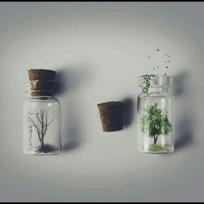 Life_endd's tweet image. "

Don,t wait for the perfect moment, take the moment and make it perfect