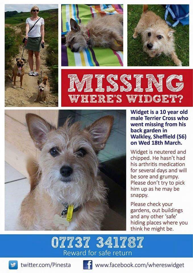 LostboxUK's tweet photo. RT @rex_wendy: DESPERATELY MISSED by @Pinesta pls #RT to help find #whereswidget #missing #Sheffield TY http://t.co/ZIRy1eo1fB