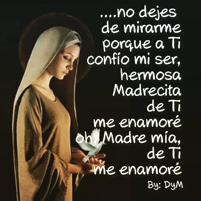 dumasiado's tweet photo. http://t.co/sYwsvf27Qm
