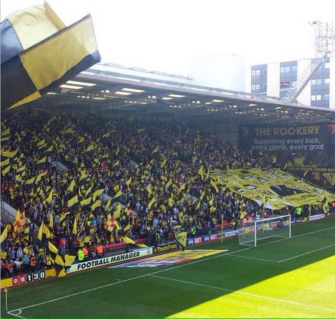 malwilliams6's tweet photo. Best supporters ever.Yellow Army http://t.co/f7JXMzFAeA