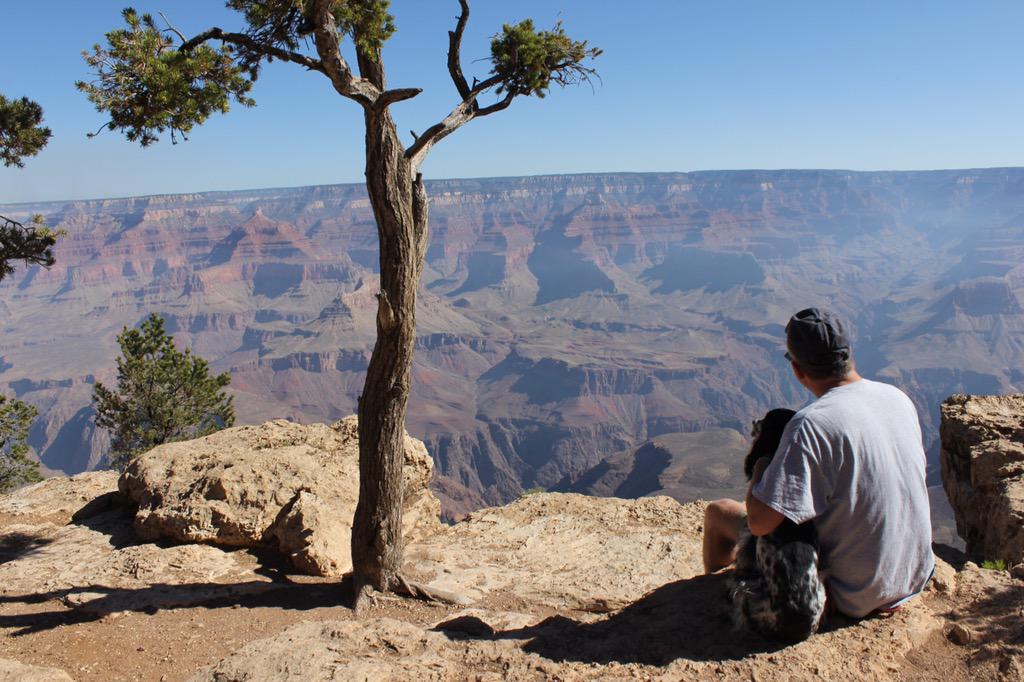  was a good day for the roses...Happy Bday, Merle Haggard 