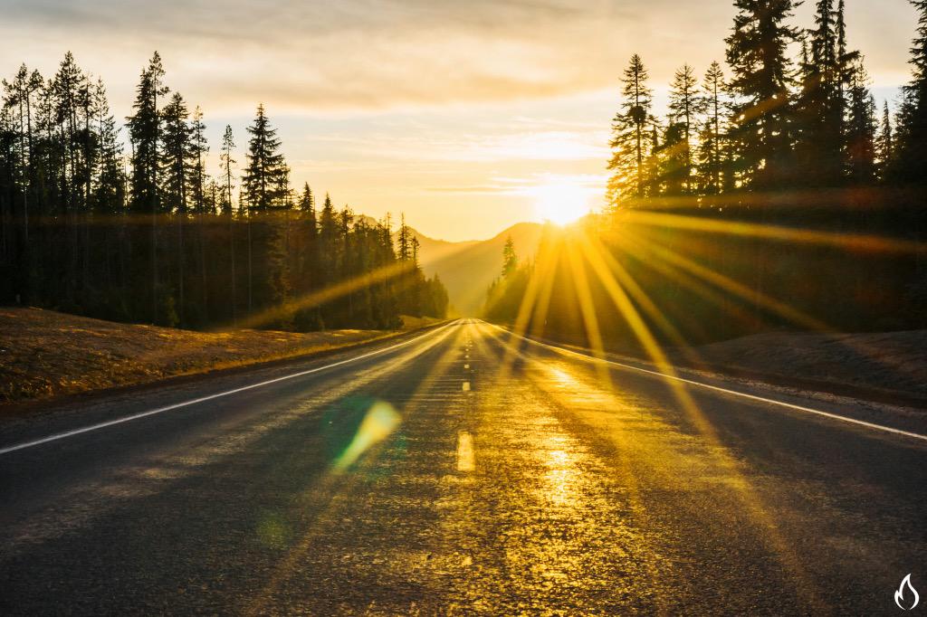 _AndyBest's tweet photo. The destination is the road therefore I must go. @gerbergear #outtarange Shot on @Sony a7r #wearestillwild http://t.co/GVTmVSVrOn