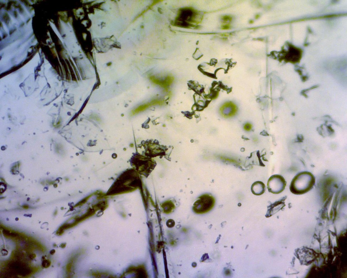 nmpanek's tweet photo. Crushed cough drops look like shattered glass. #UnderMyMicroscope http://t.co/KYJDRp4U2O