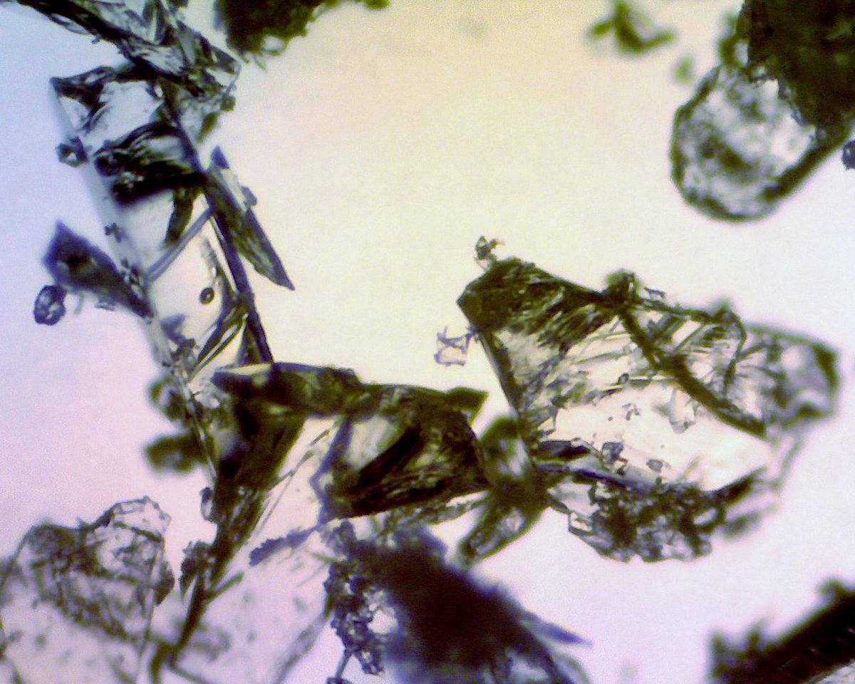 nmpanek's tweet photo. Crushed cough drops look like shattered glass. #UnderMyMicroscope http://t.co/KYJDRp4U2O