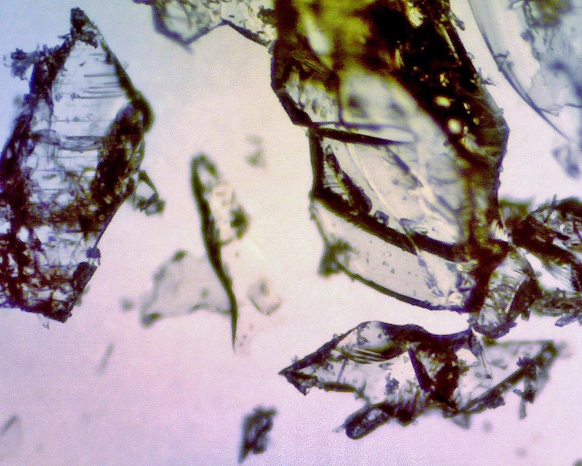 nmpanek's tweet photo. Crushed cough drops look like shattered glass. #UnderMyMicroscope http://t.co/KYJDRp4U2O