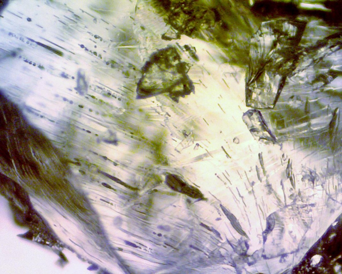 nmpanek's tweet photo. Crushed cough drops look like shattered glass. #UnderMyMicroscope http://t.co/KYJDRp4U2O