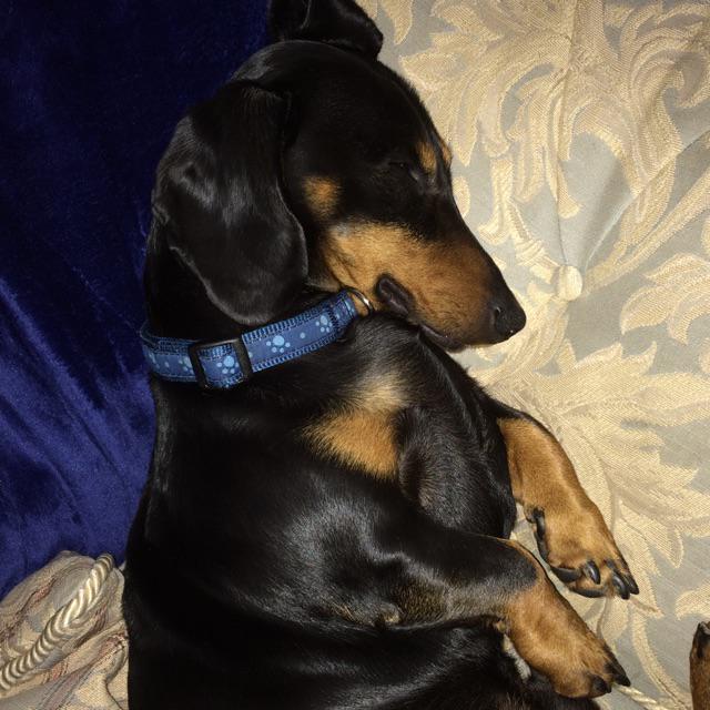 drjohnandrews's tweet photo. Wiped out #peppergram http://t.co/nm63z3jGzL