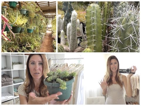 HorizonSlider's tweet photo. Road Trip, New Succulents, Planting A Succulent Dish, GlobeIn Un-Bo... http://t.co/J0tCrEsz0z #sliderwindows #doors http://t.co/ohVQGxHcTQ