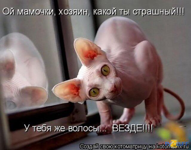 ekzotika.com/ekzotika_img/n…