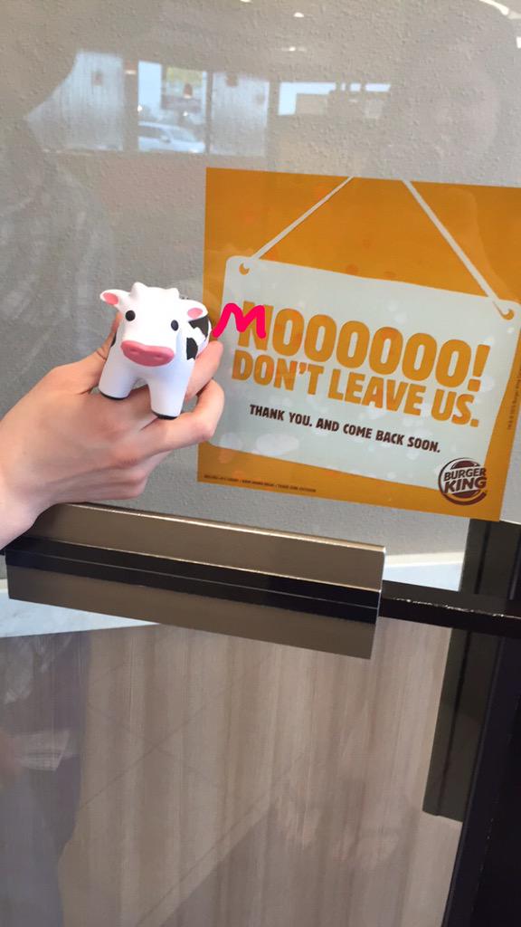 DonaldTheCow's tweet photo. http://t.co/oyOfyQ6nZB