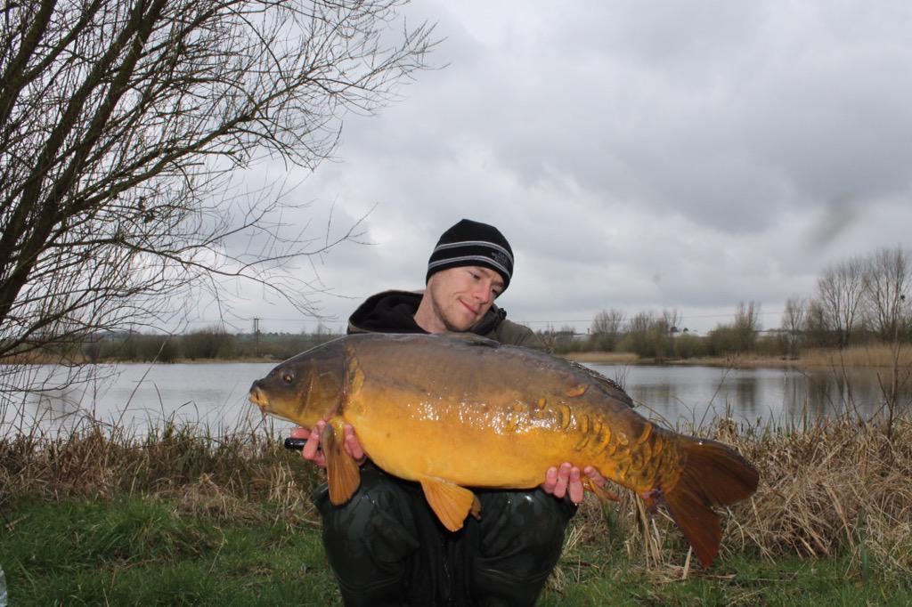 aaron_paling's tweet photo. Couple from a tough week fishing 29lb mirror 28.4 common @FoxInt #armapoint #edges @TeamMainline #cell&amp;hybrid http://t.co/yEt2mD1XmQ