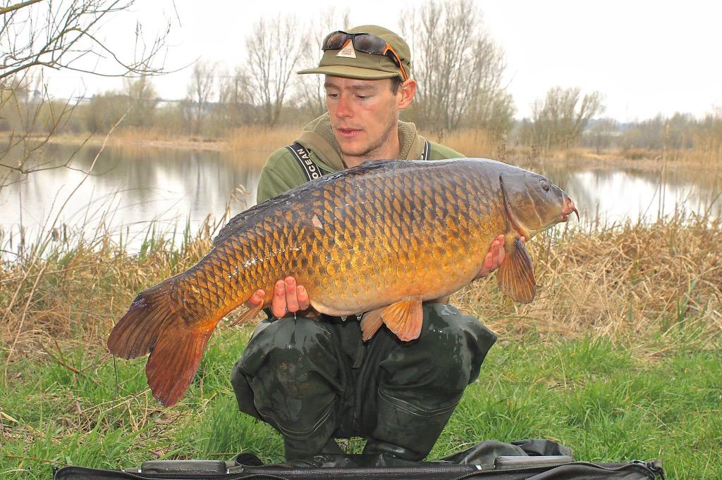 aaron_paling's tweet photo. Couple from a tough week fishing 29lb mirror 28.4 common @FoxInt #armapoint #edges @TeamMainline #cell&amp;hybrid http://t.co/yEt2mD1XmQ