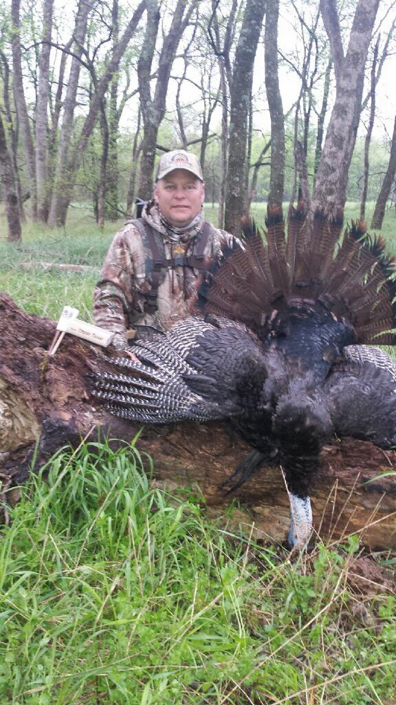 blr3r's tweet photo. Big Eastern down for Surrender Outdoors, 6 beards. Fan collector call brought him right in. #fancollector #turkey2015 http://t.co/yAqxqIto0r