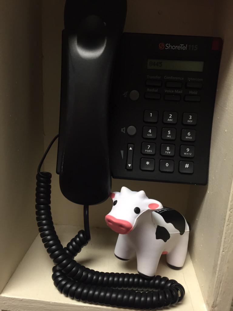DonaldTheCow's tweet photo. http://t.co/xxevld67ul