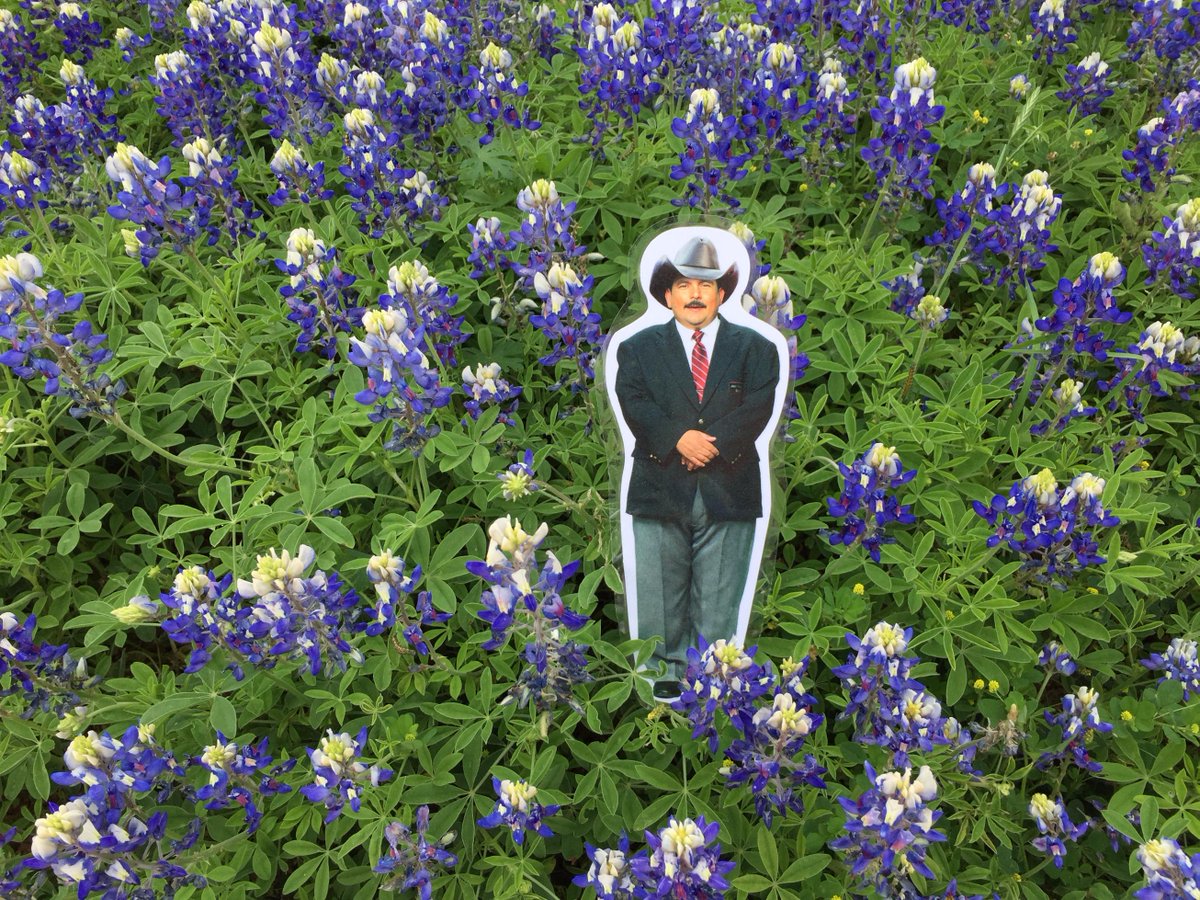 GrillMaster5's tweet photo. @jimmykimmel Flat Guillermo takes part in a Texas tradition, Picture in Bluebonnets #GuillermoInAustin @IAMGUILLERMO http://t.co/UCDin4IGag