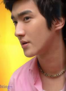 Happy birthday to Choi Siwon ! Wish you success health and happiness ! Proud to be an E.L.F ! Love from Vietnam ! 