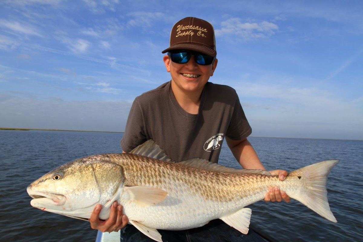 waccasassa tweet picture
