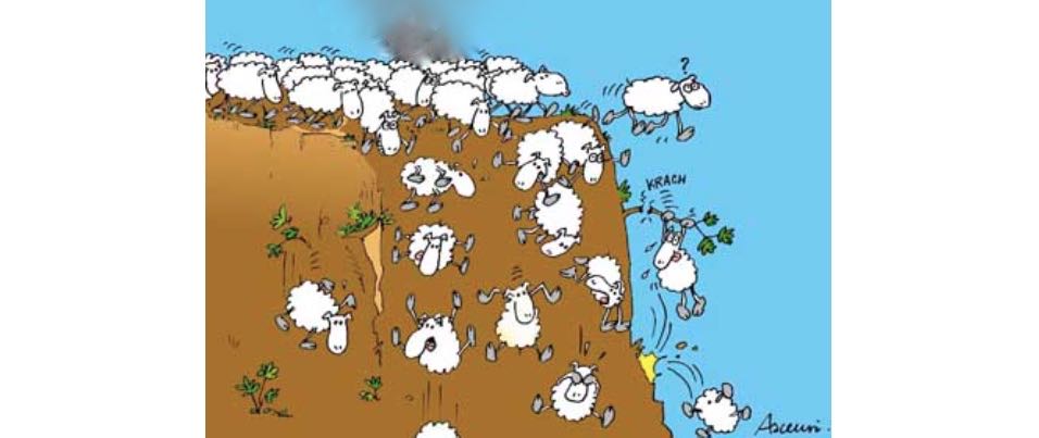 Yves Claudé yclaude on Twitter: "#ASSÉ L'#AFESH-#UQAM ou les #moutons du "#ComitéPrintemps2015" : Vers le précipice de la #grève_générale_illimitée ! http://t.co/eHkoswX30t" / Twitter