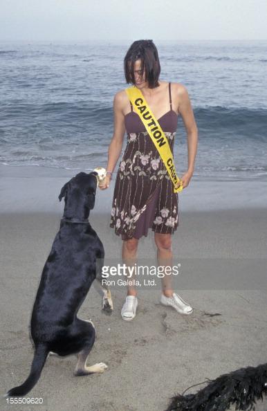 Jennifer Rubin (@jenniferkollinr) on Twitter photo 