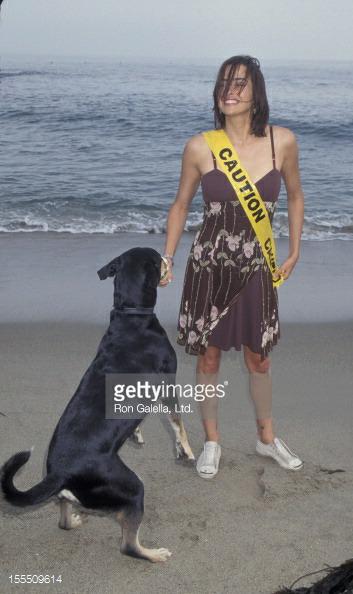 Jennifer Rubin (@jenniferkollinr) on Twitter photo 