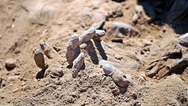 IŞİD vahşetinin boyutu ortaya çıkıyor | bildiren.net/index.php/2015… | #BildirenNET