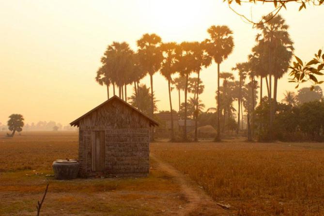 ONECampaign tweet picture