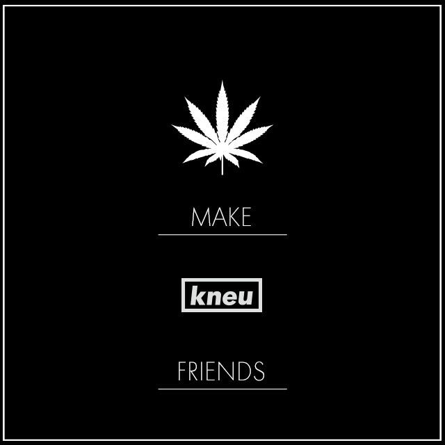 kneu77's tweet photo. #cannabis #medicinal #legalize #HempCanSaveThePlanet @votehemp #highwithfriends @MmjStateLaws @NORML @NYGovCuomo #nyc http://t.co/edZr5rwtVx