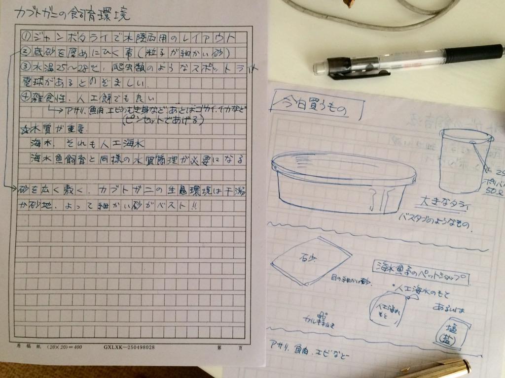 食べるつもりで中国の市場で買ったカブトガニ カブたん との日々 2ページ目 Togetter
